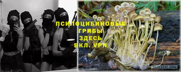 дмт Абаза