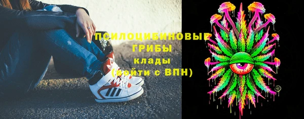 спиды Алексеевка