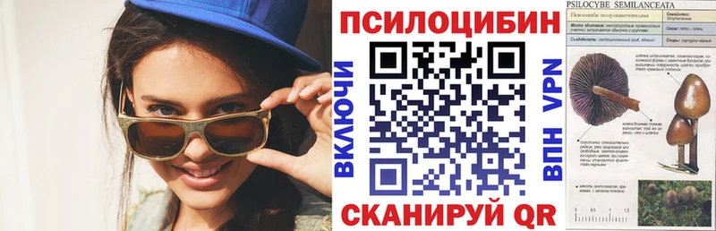 Псилоцибиновые грибы Psilocybine cubensis где купить наркоту Шумиха